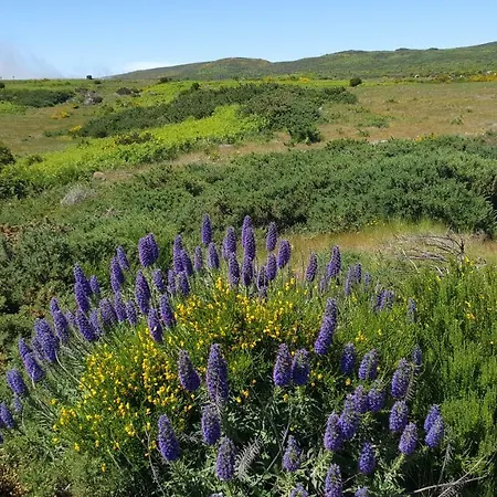 Сasa de vacaciones Casa Do Leme Arco da Calheta (Madeira)