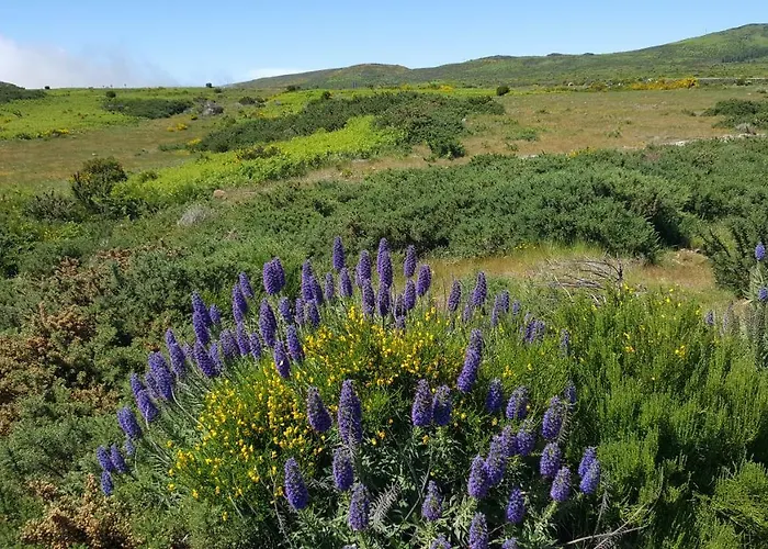別荘 Casa Do Leme アルコ・ダ・カリェタ